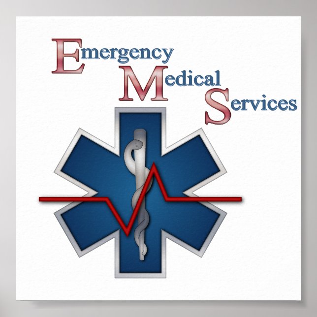 Poster Linha de vida EMT (Frente)