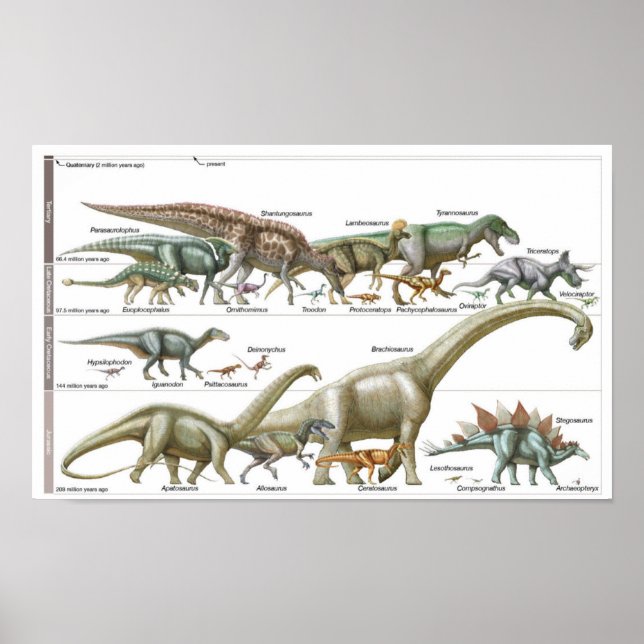 Poster Linha do tempo dos dinossauros Biologia do Jurássi (Frente)