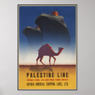 Pôster Linha Palestina