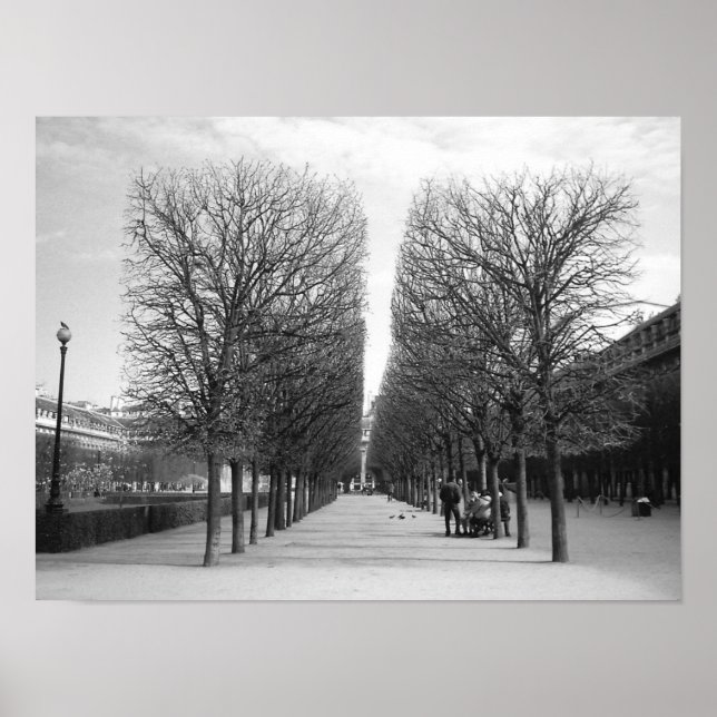 Poster Linhas de Paris (Frente)
