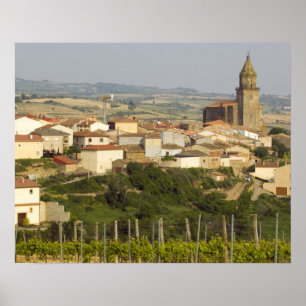 Pôster Linhas de videiras em primeiro plano