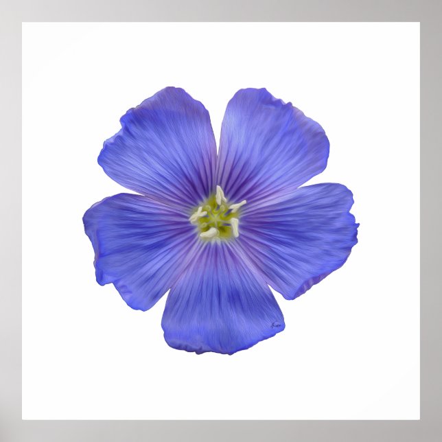 Pôster Linho Azul nº 1 (Frente)