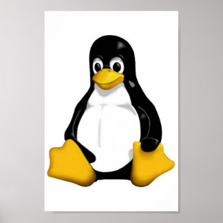 Pôster linux
