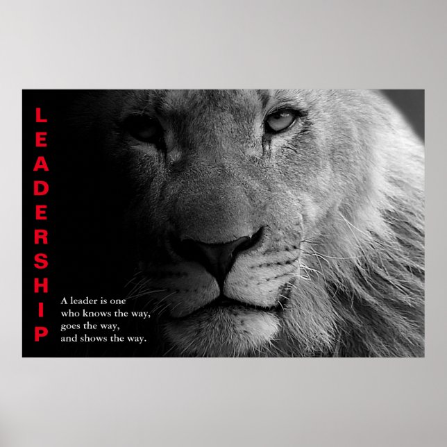 Poster Lion Branco Negro Leitura Motivativa (Frente)