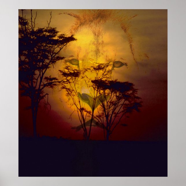 Poster Lion Looking Over African Sunset (Frente)