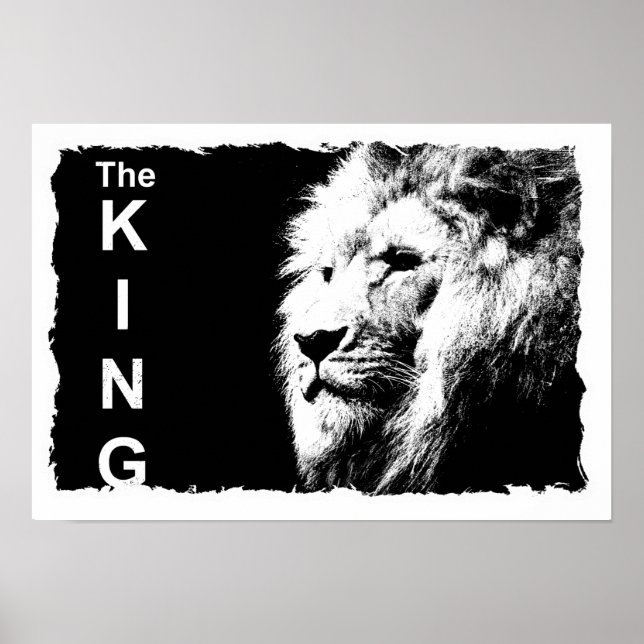 Poster Lion Modelo Nature Animal The King Trendy (Frente)