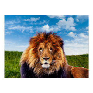 Pôster Lion O Rei da Floresta