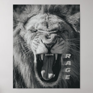 Poster Lion Rage Black and White Roar