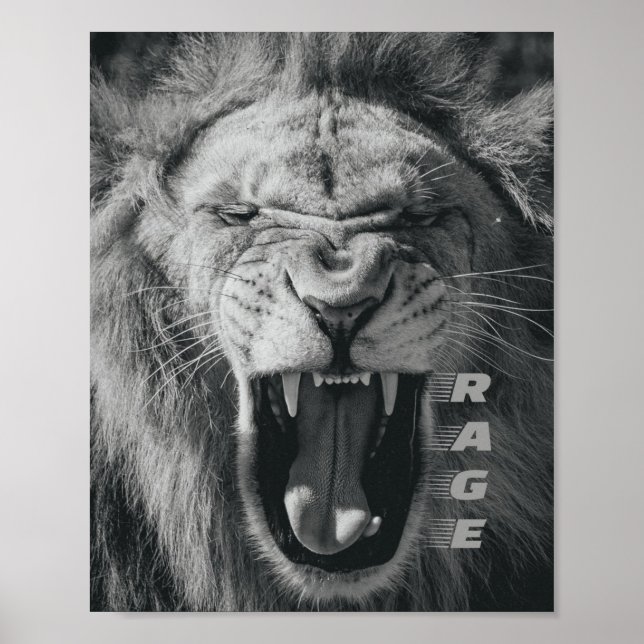 Poster Lion Rage Black and White Roar (Frente)