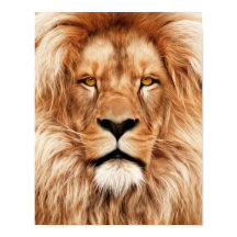 Lion The King Photo Painting