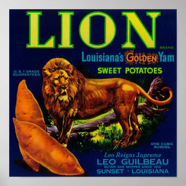 Pôster Lion Yam LabelSunset, LA (Frente)