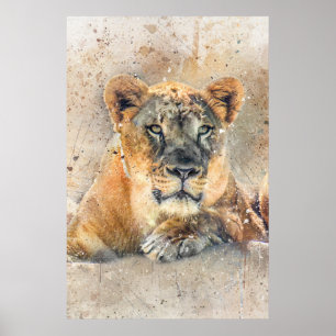 Poster Lioness Face Watercolor Selle Animal