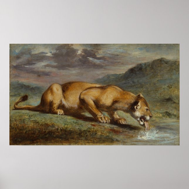 Poster Lioness ferida (Frente)