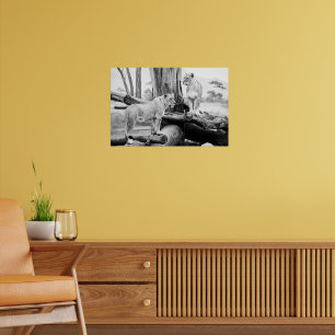 Poster Lioness Wildlife Black & White Photoographic Art