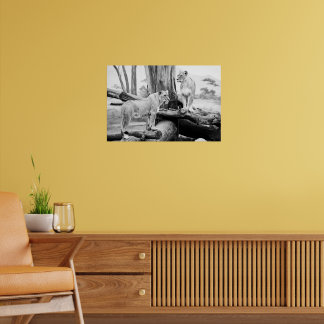 Poster Lioness Wildlife Black & White Photoographic Art