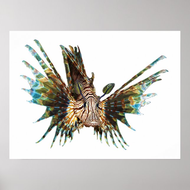 Poster Lionfish - Design abstrato - Corte de uma foto | (Frente)