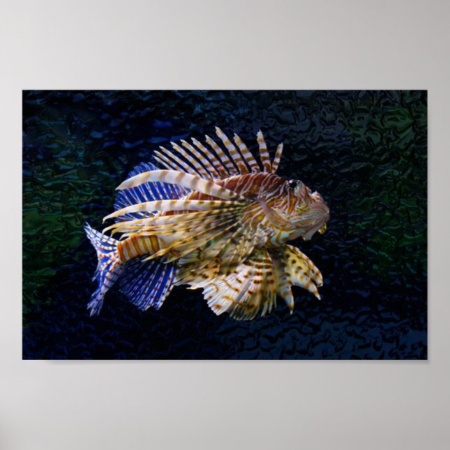 Poster Lionfish Print (Frente)