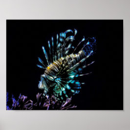 Poster Lionfish swims