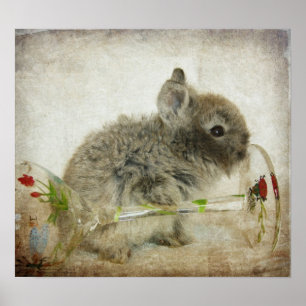 Pôster Lionhead Bunny and Wine Glass