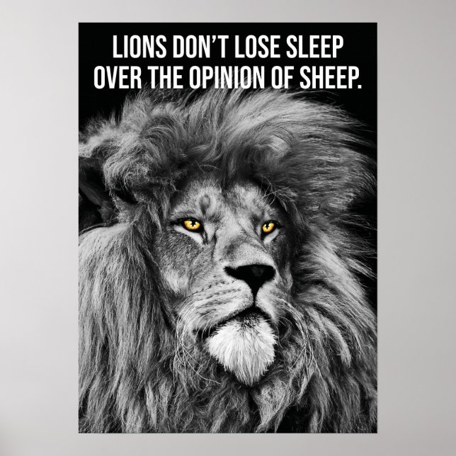 Poster Lions Don't Lose Sleep Over Opinions Of Sheep (Frente)