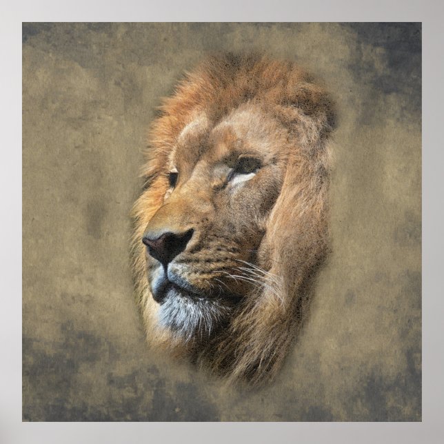 Poster Lions Head (Frente)