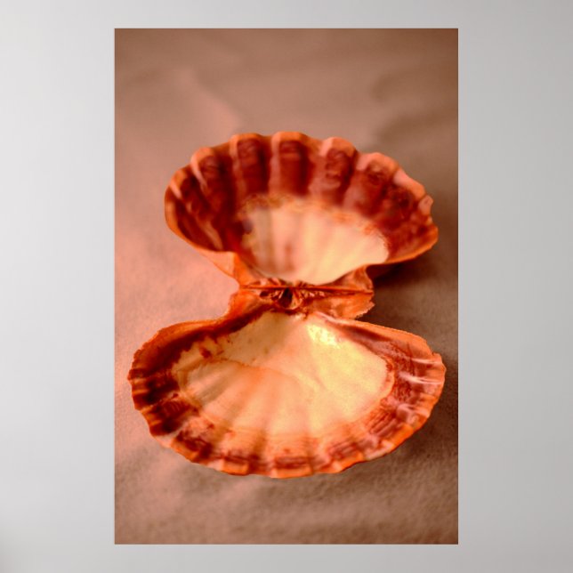 Pôster Lions Paw (Frente)