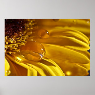 Poster Líquido Dourado