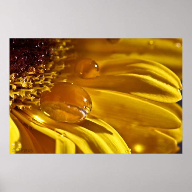 Poster Líquido Dourado (Frente)