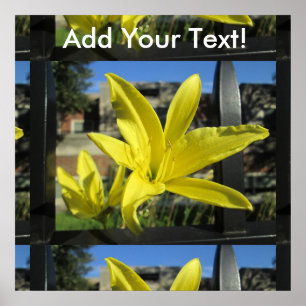 Pôster Lírio amarelo bonito