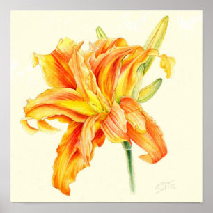 Pôster Lírio Asiático Hemerocallis laranja aquarela dupla