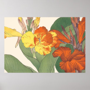 Pôster Lírio de Canna
