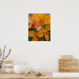 Poster Lírio-de-canna-amarelo com Floral Pontos Vermelhos