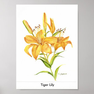 Pôster Lírio de tigre no ouro e na aguarela amarela