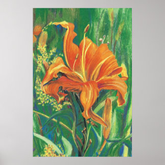 Poster Lírio-do-tigre