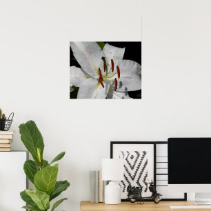 Poster Lírio Oriental Branco Floral Fotográfico