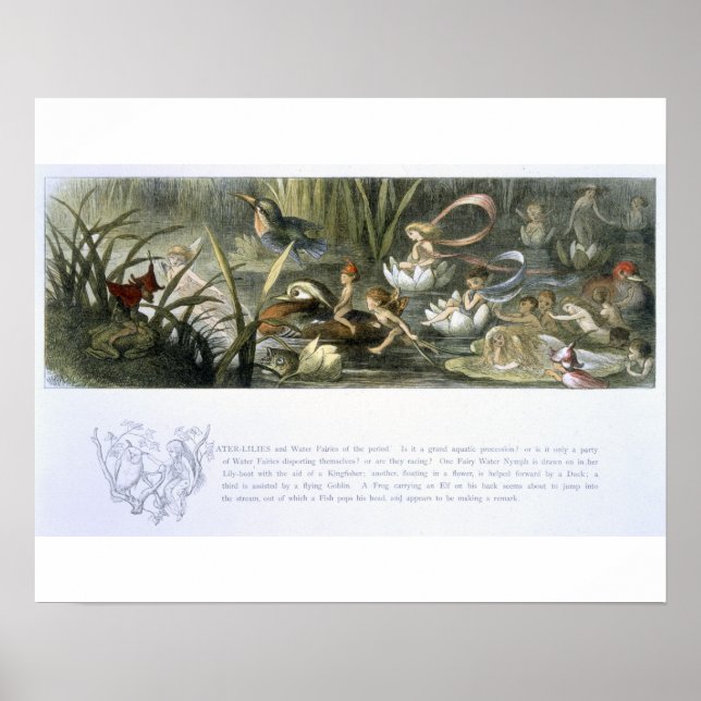 Pôster Lírios-Água e Fadas-Água, ilustração de (Frente)