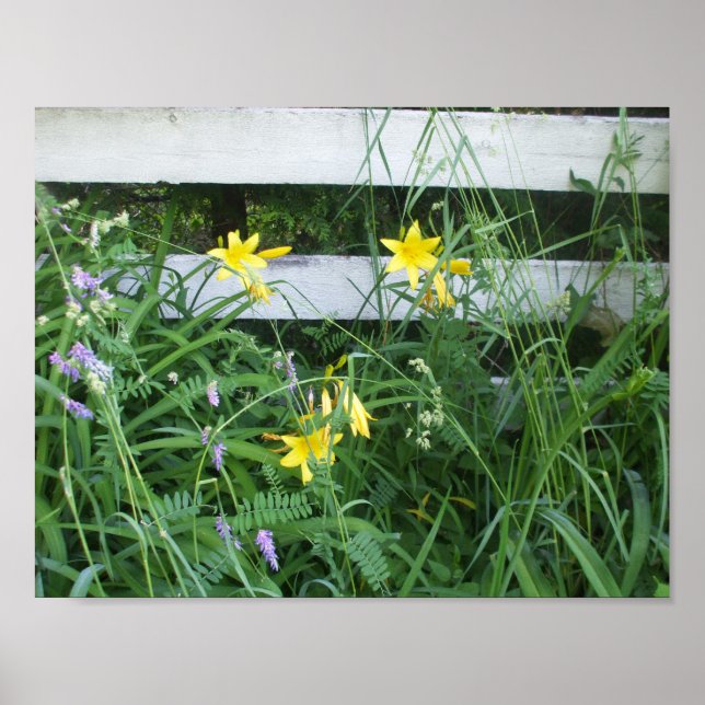 Poster Lírios bonito e Flores (Frente)