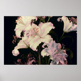 Poster Lírios Brancos Elegantes sobre Fundo Preto Floral