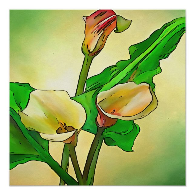 Pôster Lírios Calla Contra Ombro Verde (Frente)