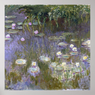 Poster Lírios-da-água, pintor francês monet claude