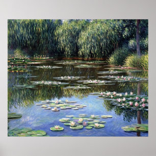 Poster Lírios de água (2)