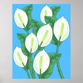 Poster Lírios de paz brancos em fundo azul pálido