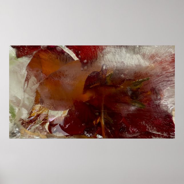 Poster Lírios Forçados, (Frente)