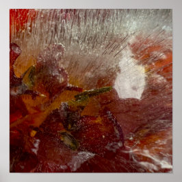 Poster Lírios Forçados,