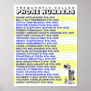 Pôster Lista acessível do número de telefone a indicar