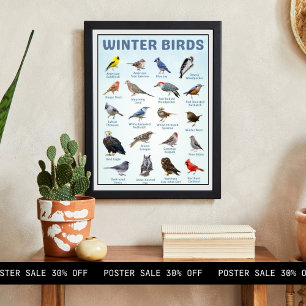 Poster lista de aves de inverno dos EUA