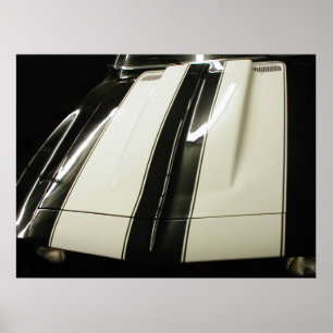 Pôster Listras de Camaro