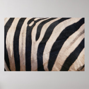 Poster Listras de Zebra Preta e Branca