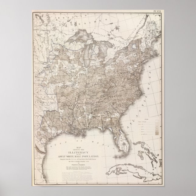 Poster Literacia masculina branca (Frente)