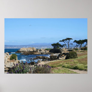Poster Litoral da baía de Monterey, foto do primavera